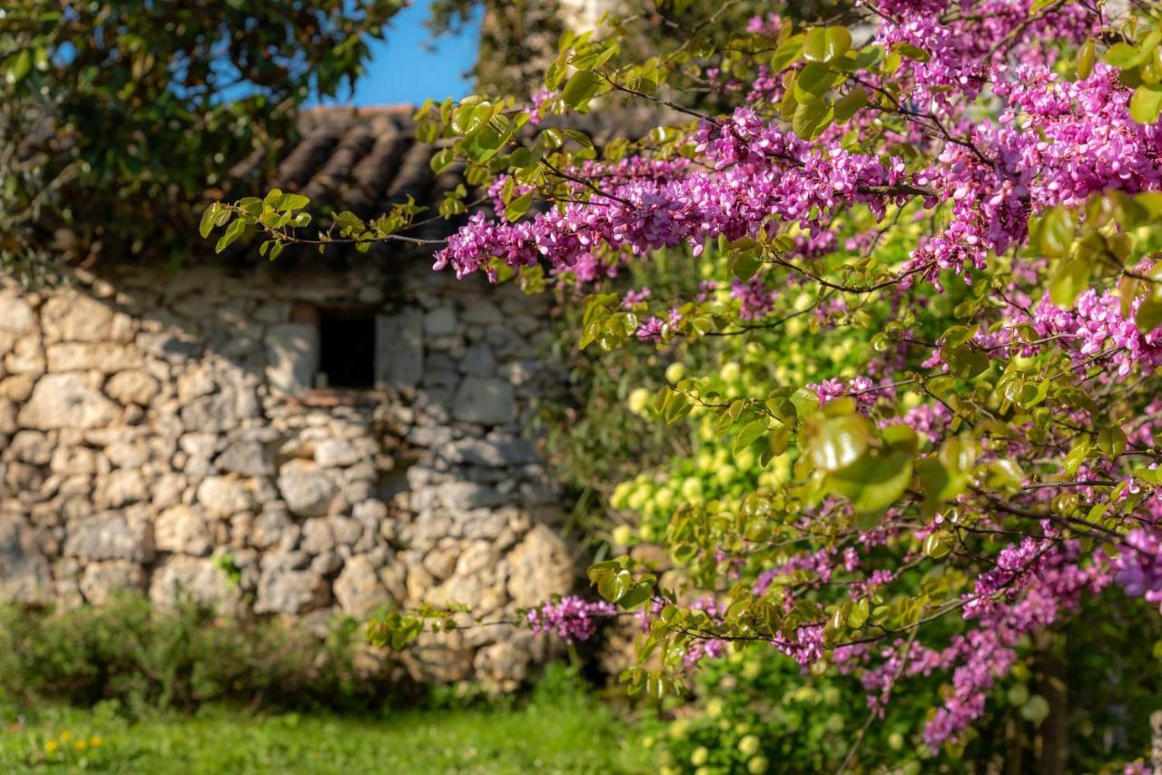 La Maison De Yuka Plieux Extérieur photo